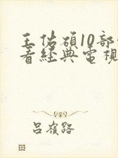 王佑硕10部必看经典电视剧