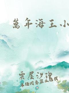 万年海王小说
