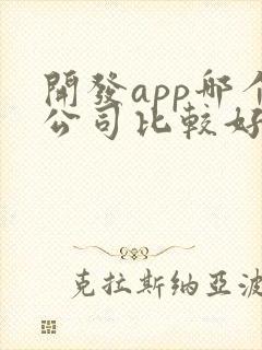 开发app哪个公司比较好