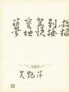 萌宝驾到,总裁爹地快接招