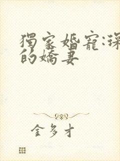 独家婚宠:琛少的娇妻