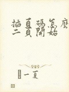 插页码怎么从第二页开始