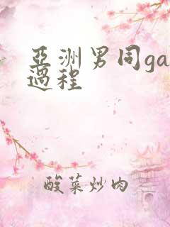 亚洲男同gay过程
