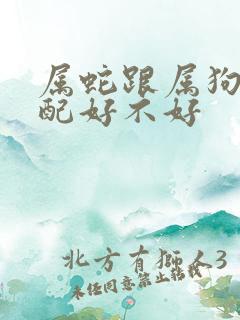 属蛇跟属狗的婚配好不好