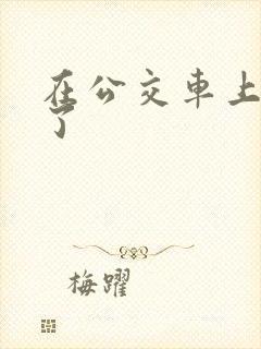 在公交车上被顶了
