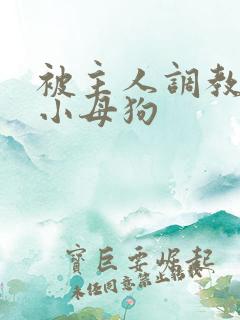 被主人调教跪趴小母狗
