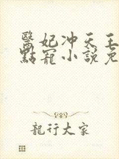 医妃冲天王爷轻点宠小说免费阅读