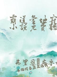 霸道爹地宠又撩小说免费听书