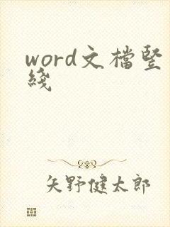 word文档竖线