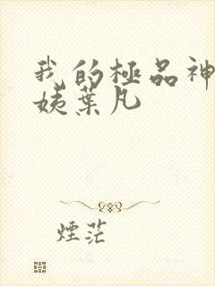 我的极品神级小姨叶凡