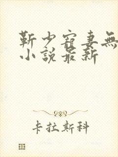 靳少宠妻无节制小说最新