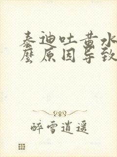 泰迪吐黄水是什么原因导致的