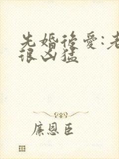先婚后爱:老公很凶猛