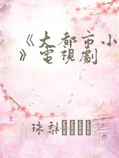 《大都市小爱情》电视剧