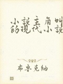 小说主角叫陆晨的现代小说