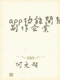 app功能开发制作企业