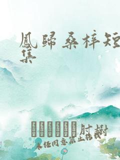 凤归桑梓短剧全集