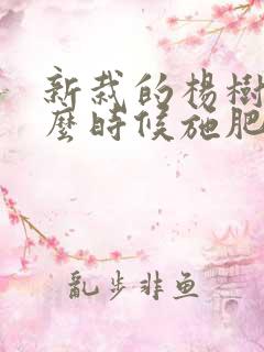 新栽的杨树苗什么时候施肥