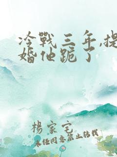 冷战三年,提离婚他跪了