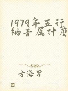 1979年五行纳音属什么命