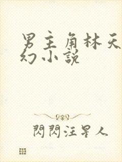 男主角林天的玄幻小说