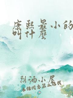 康熙最小的儿子叫什么