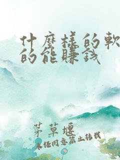 什么样的软件真的能赚钱