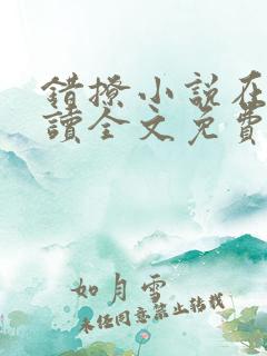 错撩小说在线阅读全文免费