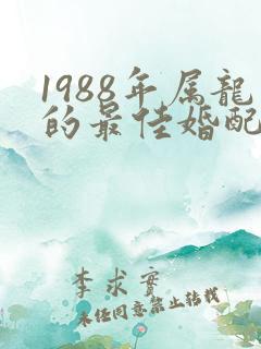 1988年属龙的最佳婚配表