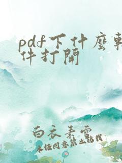pdf下什么软件打开