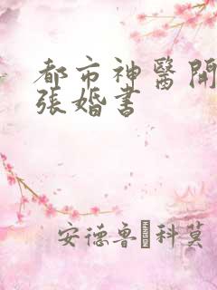 都市神医开局九张婚书