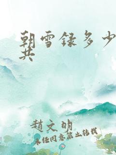 朝雪录多少集一共