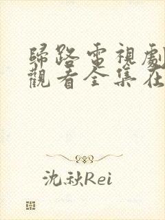 归路电视剧免费观看全集在线播放