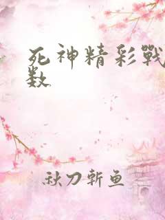死神精彩战斗集数