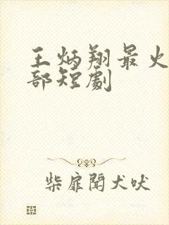 王炳翔最火的5部短剧