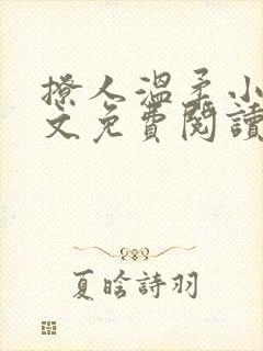 撩人温柔小说全文免费阅读无弹窗