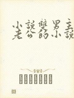 小说双男主虐文老公的小说推荐完结