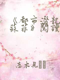 《都市潜龙赵东苏菲》阅读全文