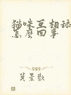 猫咪互相舔脸是怎么回事