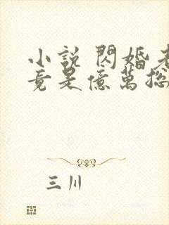 小说 闪婚老公竟是亿万总裁