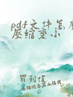 pdf文件怎么压缩变小