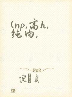 (np,高h,纯肉,