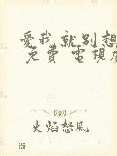爱我就别想太多 免费 电视剧