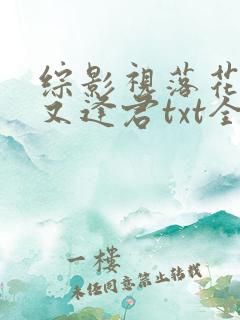 综影视落花时节又逢君txt全本