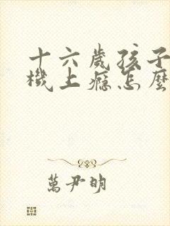 十六岁孩子玩手机上瘾怎么办