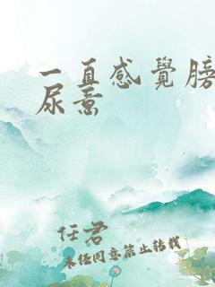 一直感觉膀胱有尿意