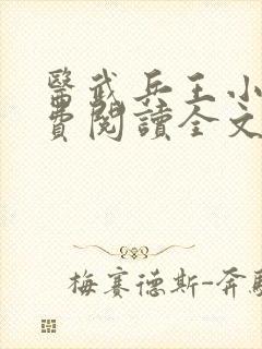 医武兵王小说免费阅读全文