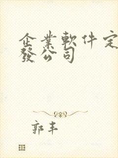 企业软件定制开发公司