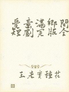 爱意满乡间免费短剧完版全集