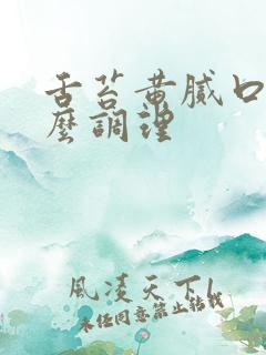 舌苔黄腻口苦怎么调理